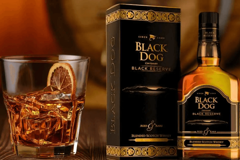 Black dog