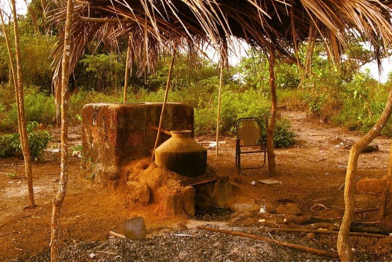 goan feni taste