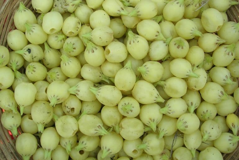 mahua liquor