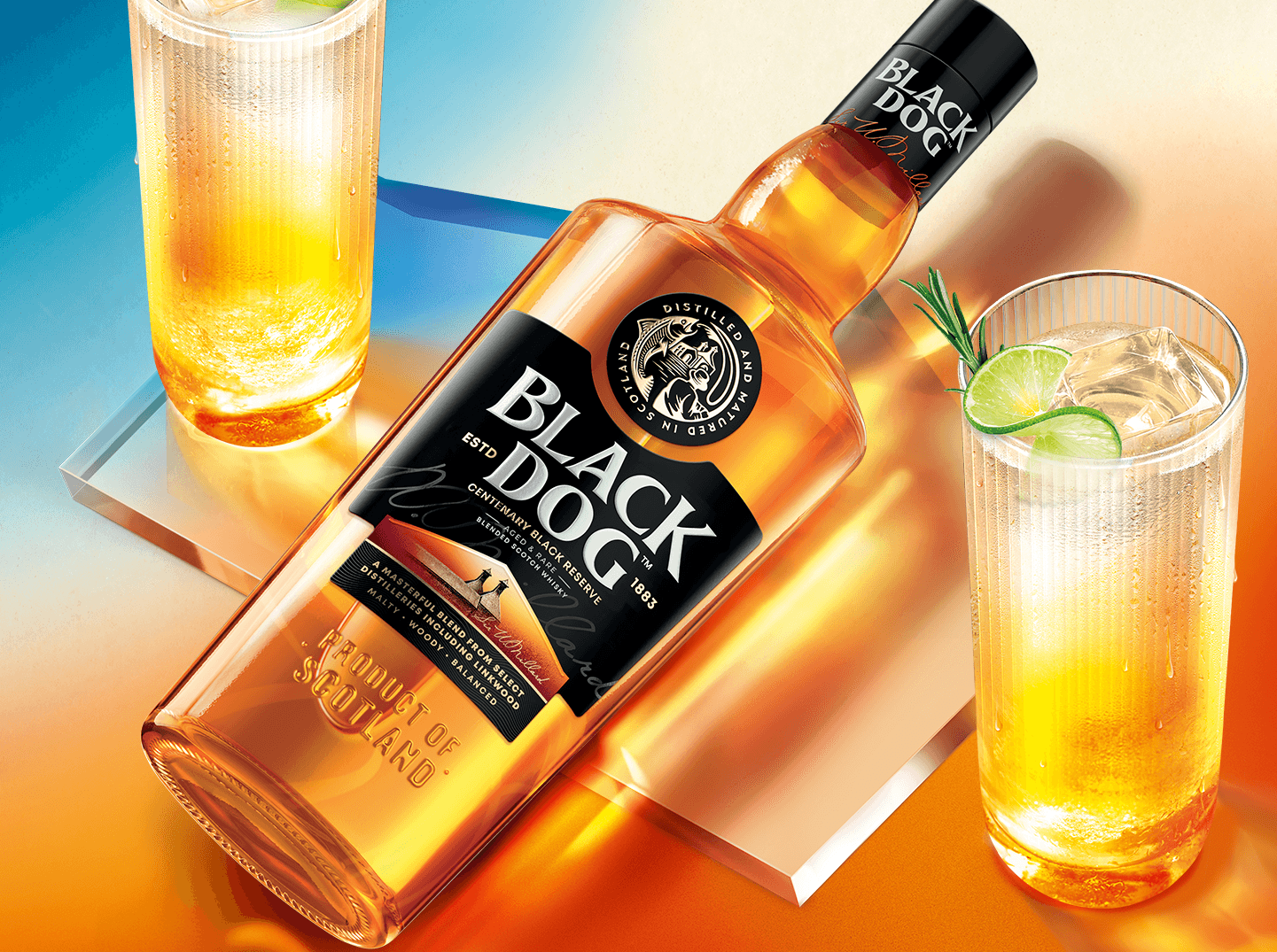 Black Dog Black Reserve