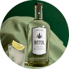 Vodka
