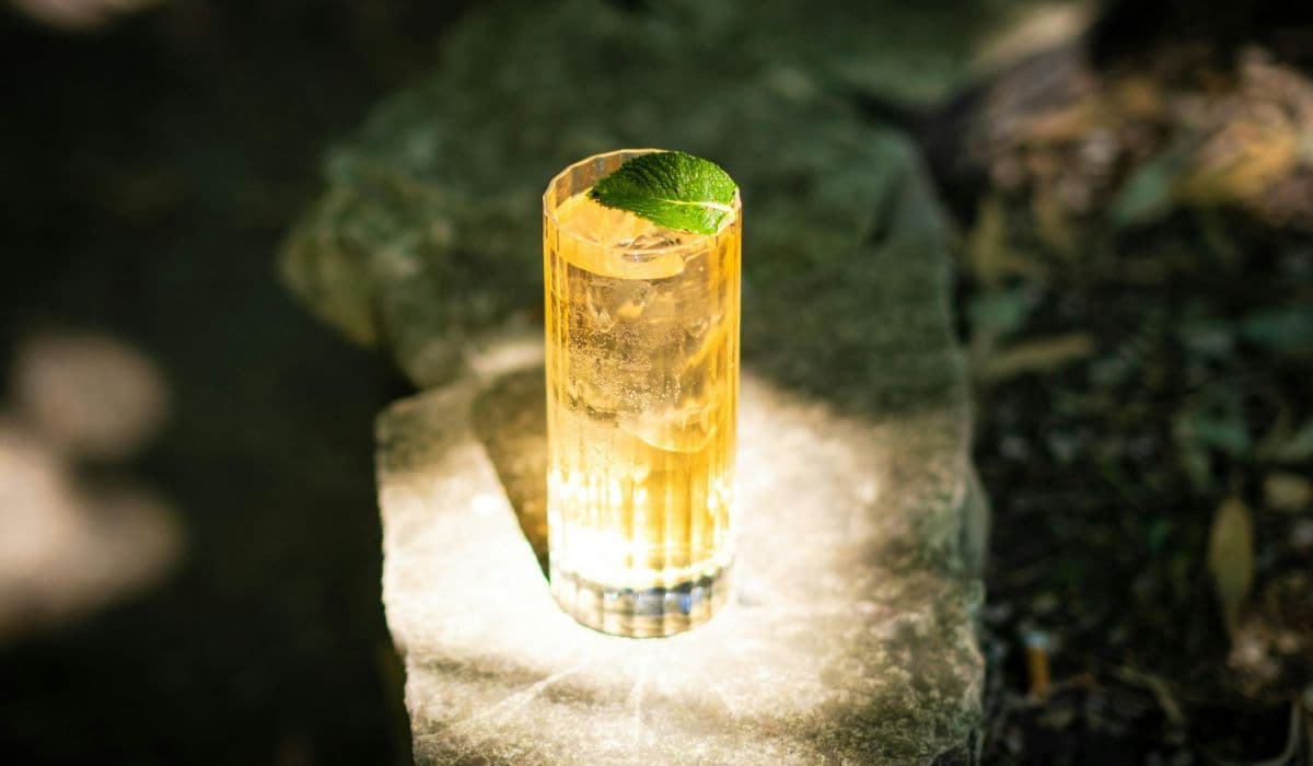 How Does Soda Change The Taste And Strength Of Whisky? The Highball Science